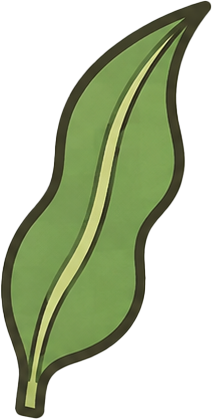 芭蕉叶