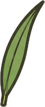 竹叶